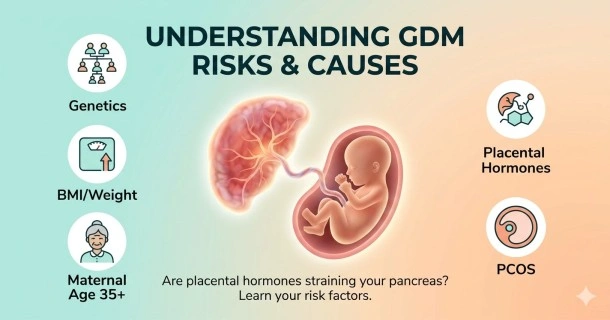 An educational infographic detailing medical risk factors for gestational diabetes mellitus, including maternal age, baseline BMI, and genetic predisposition markers.