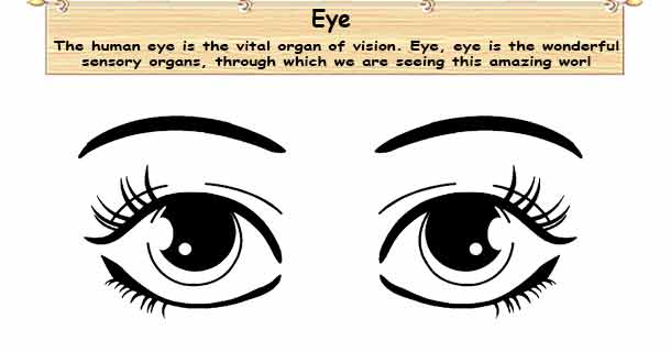 Eye vision
