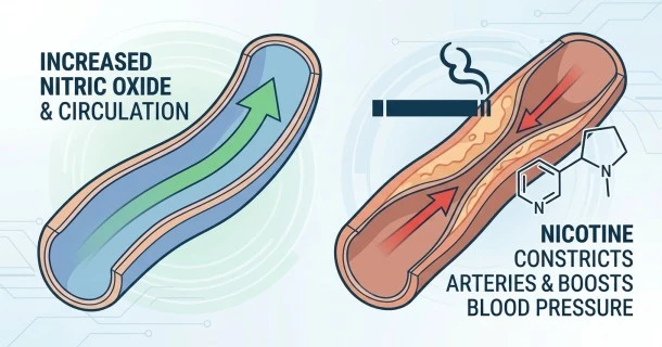 A side-by-side medical infographic layout showing the risks of smoking (constricted blood vessels, fast pulse, high numbers) versus the benefits of tobacco cessation (arterial relaxation, normal metrics).