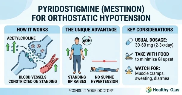 A medical infographic banner for a Pyridostigmine (Mestinon) guide. It outlines the acetylcholinesterase inhibitor mechanism that targets standing vascular resistance, highlighting its primary clinical benefit: elevating blood pressure selectively while standing without causing dangerous supine hypertension when lying down.