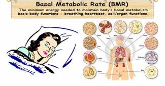 Basal metabolic rate (BMR)
