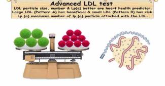 Advanced Lipid Testing