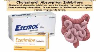 Cholesterol Absorption Inhibitors