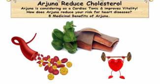 Arjuna May Help Lower Cholesterol