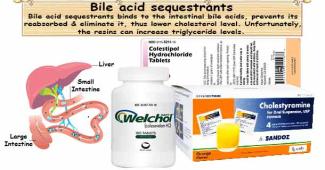 Bile Acid Sequestrants