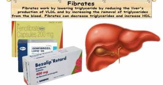 Cholesterol Medication Fibrates