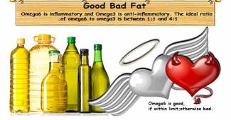 Good & Bad Fats