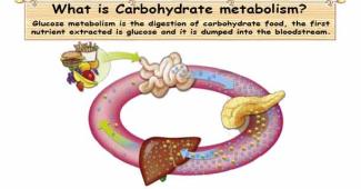 Carbohydrate Metabolism