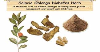 Diabetes Herb Salacia Oblonga