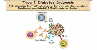 Type 1 Diabetes Diagnosis Tests