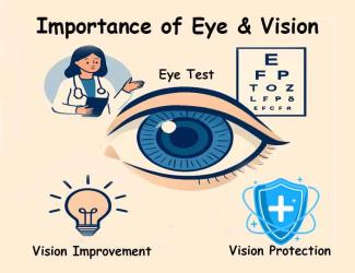 Importance of Eye and its Vision