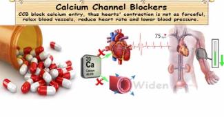 Hypertension Medicine Calcium Channel Blockers