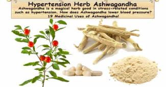 High Blood Pressure Herb Ashwagandha