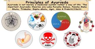 Ayurvedic Principles