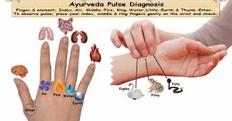 Ayurvedic Pulse Diagnosis