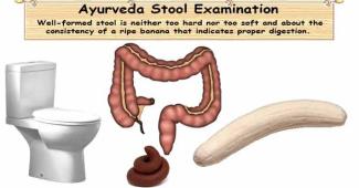 Ayurvedic Stool Diagnosis