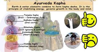 Ayurvedic Kapha Types