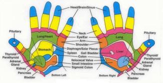 Reflexology Hand Chart