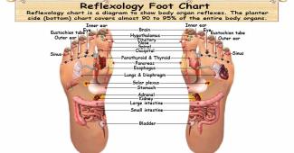 Reflexology Foot Chart