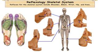 Reflexology Skeletal System