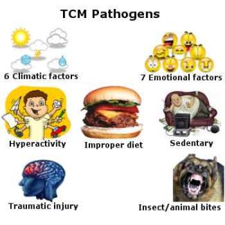 Health Condition