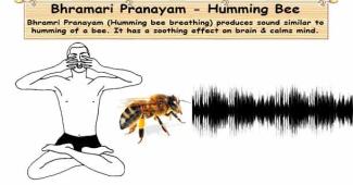 Bhramri Pranayam - Humming Bee Breathing