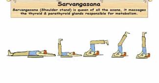 Sarvangasana